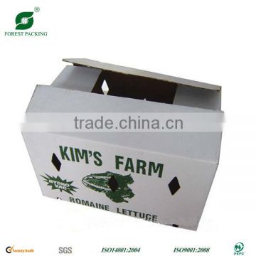 LETTUCE SHIPPING BOX