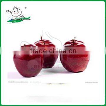 red delicious apple/huaniu apple/new high quality China fresh top red huaniu apples