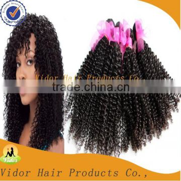 Virgin Uprocessed Brazilian Virgin Afro Kinky Hair Extenion