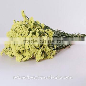 Supply Long Flower Period Fresh Cuttting Statices Flowers From Yunnan Province China photo-5