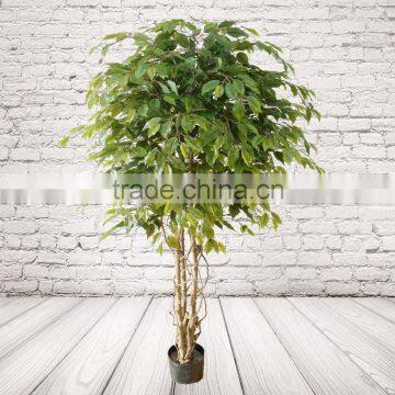 Artificial Indoor Ficus Tree photo-6