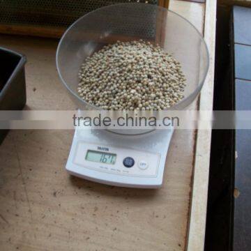 High Quality Vietnam White Pepper