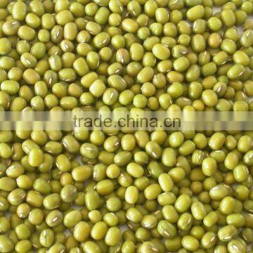 Green Moong Beans