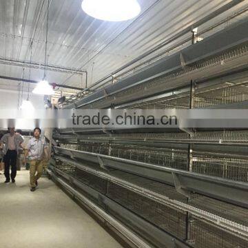 cheap price automatic animal feed equipment for layer egg hen chicken farm