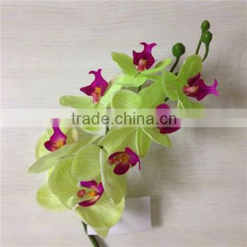 real touch orchid green decor orchid AAA quality china factory artificial orchid