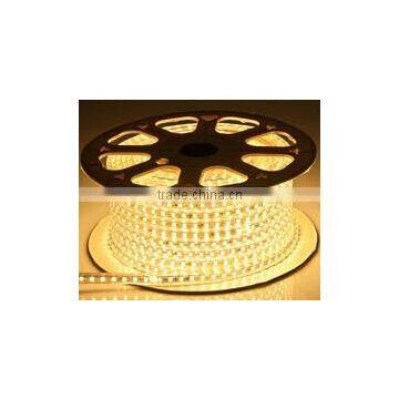 LED 110V 220V SMD5050 waterproof strip light led flexible led strip