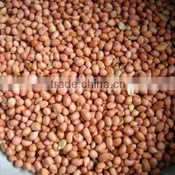 Red Skin Peanuts