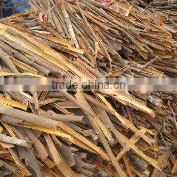 Vietnam Cassia/Cinnamon 2015 Thin,well Drying