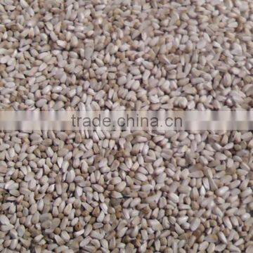 Safflower seed