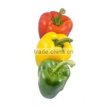 frozen sweet colourful pepper