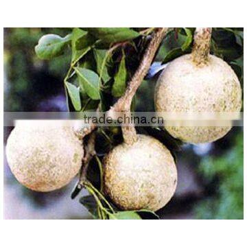 Wood Apple powder