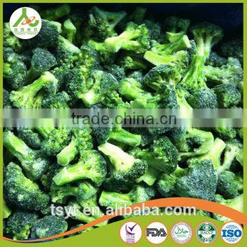 Fresh New season chinese frozen broccoli, chinese golden supplier 2017