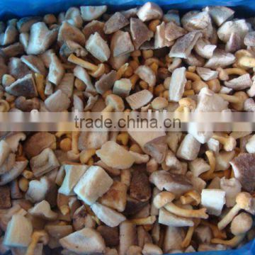 Supply frozen mixed mushroom