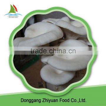 Most Popular Organic IQF White Oyster Mushroom