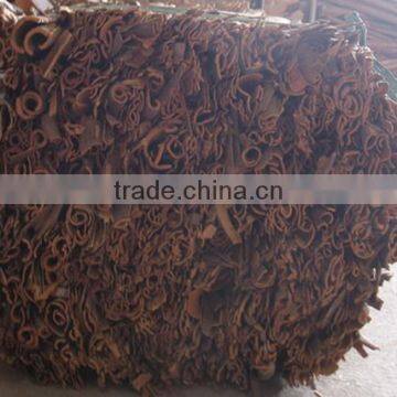 Cassia whole pressed