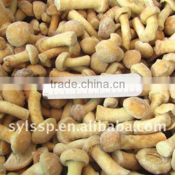 2014 Crop Frozen Nameko Mushroom(IQF)