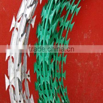 Wholesale BTO-22 Powder Coated Razor Barbed Wire photo-2