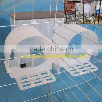 Automatic Feeder for Poultry (pigeon Feeders) photo-4