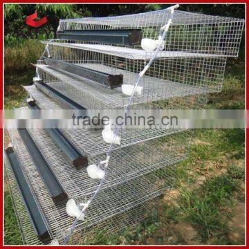 Automatic Quail Layer Cages For Sale For Kenya photo-3