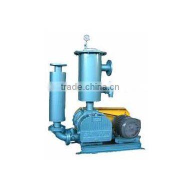 rotary lobe vacuum pump