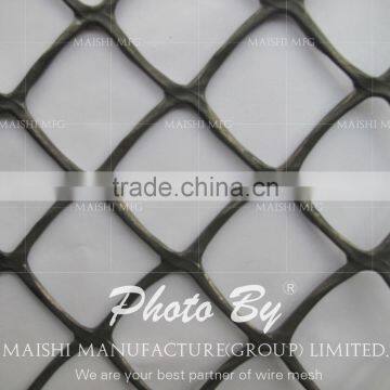 Extruded Plastic Wire Mesh photo-2