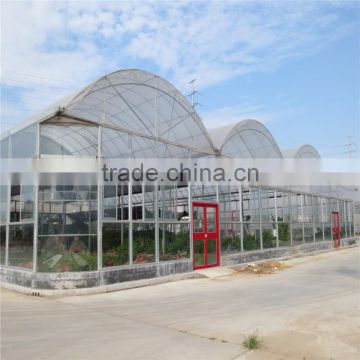 The Cheapest Hot Sale and Easily Installed Commercial Greenhouse