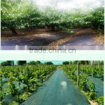 Black Plastic Ground Cover / pp Woven Landscape Fabric / Weed Control Fabric photo-4