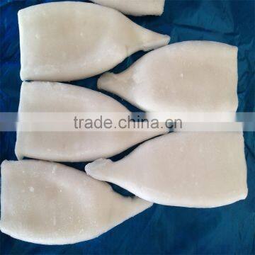 High quality Pacific squid tube (Todarodes Pacificus)