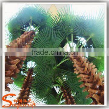 Best Quality Hight Artificial Outdoor Large Palm Tree for Sale photo-4