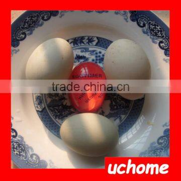 UCHOME Semi Transparent Color Change Kitchen Cooking Timer Egg Timer photo-3