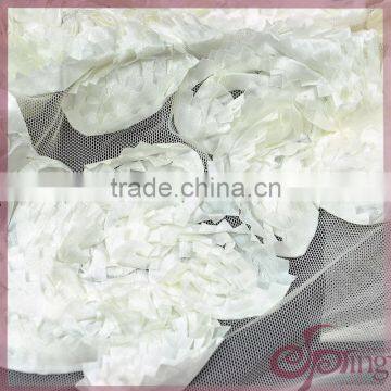 White Embroidery Coiling Ribbon Lace Applique Work Design 3d Lace Fabric photo-6