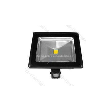 DC12V & 24V 30w led flood light