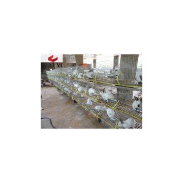 Wire Mesh Rabbit Cages for Rabbit Farm