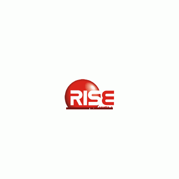 Shenzhen Rise Well Industrial Company