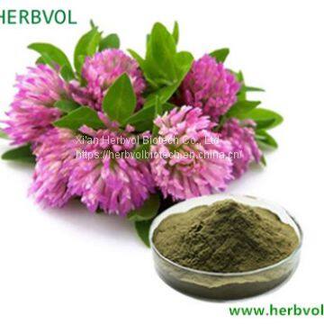Red Clover Extract
