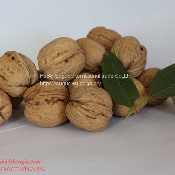 2020 The Best New Crop Liaoxi Walnut Inshell photo-3