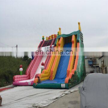 CE Durable Wahoo Kids Inflatable Water Slide for Children 's Happy Dream Games photo-3