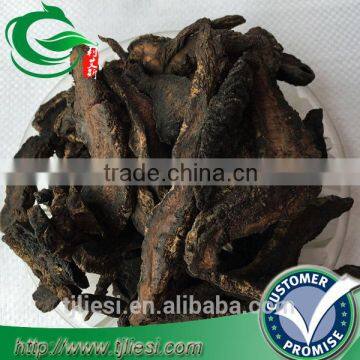 supply prepared rehmannia root not extract