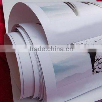 Resin Coating Glossy Waterproof Photo Paper 270gsm photo-6