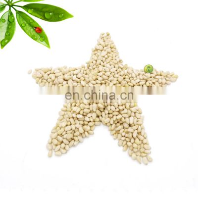 Organic cheap bulk raw or roasted open pine nut/pine seed/pine nuts in shell