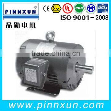 induction ac TEFC NEMA motor