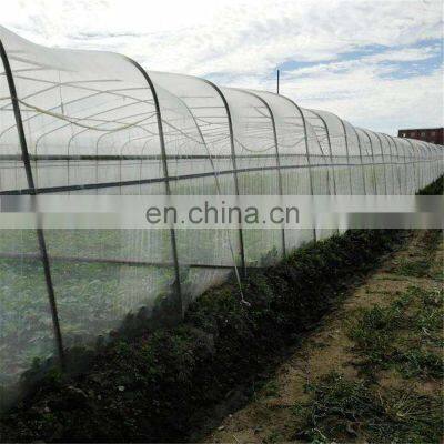 Transparent 40x25 50x25 Greenhouse Insect Net Anti Insect Net photo-3