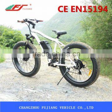 FJ-TDE07, Selfdesign Light Electric Bike 500 Watts photo-3