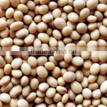 quality soya bean