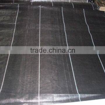 Ground Cover 100% pp Woven Fabric/woven Weedmat photo-3