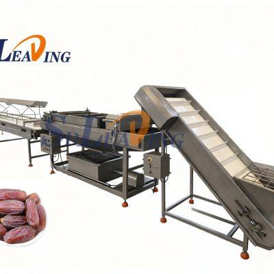 Dates Cleaning Machine Fruit Cleaning Equipment Brush Washing Machine Dates Washing Processing Line