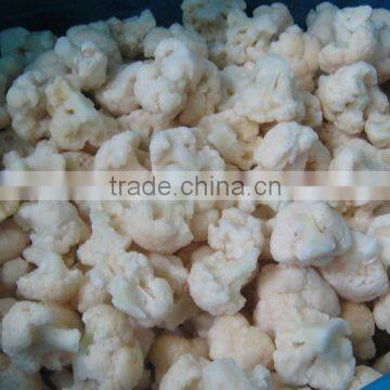 frozen extreme white cauliflower