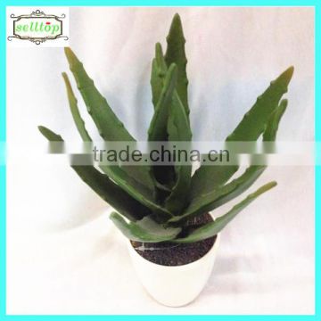 25cm new design hot sale plastic succulent