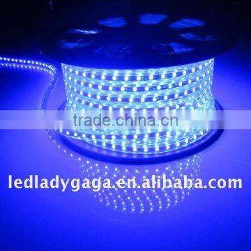 Super bright 220V blue led strip lights 5050SMD 60leds/120leds