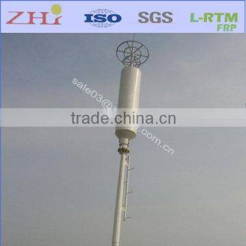 Decorative Fiberglass Base Staion Antenna Cover photo-3